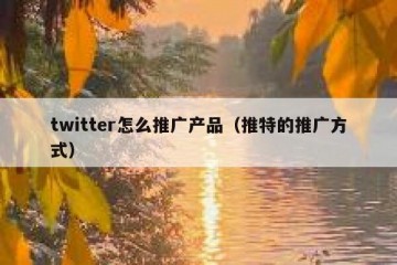 twitter怎么推广产品（推特的推广方式）