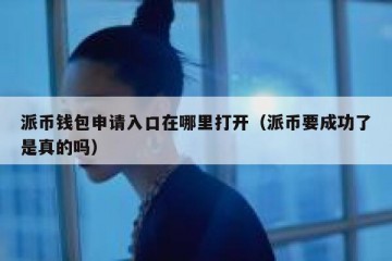 派币钱包申请入口在哪里打开（派币要成功了是真的吗）