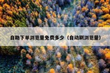 自助下单浏览量免费多少（自动刷浏览量）