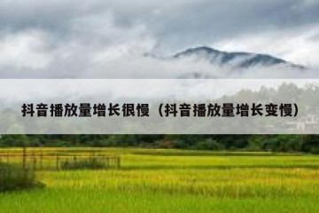 抖音播放量增长很慢（抖音播放量增长变慢）