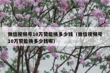 微信视频号10万赞能换多少钱（微信视频号10万赞能换多少钱呢）