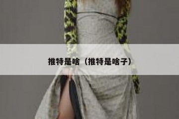 推特是啥（推特是啥子）