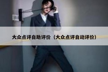 大众点评自助评价（大众点评自动评价）