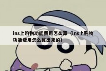 ins上购物功能费用怎么算（ins上购物功能费用怎么算出来的）