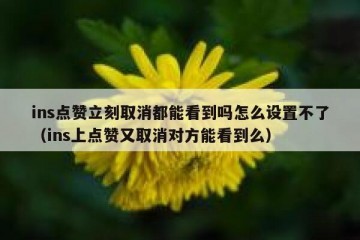 ins点赞立刻取消都能看到吗怎么设置不了（ins上点赞又取消对方能看到么）