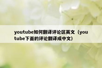 youtube如何翻译评论区英文（youtube下面的评论翻译成中文）