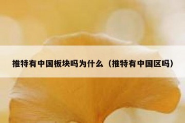 推特有中国板块吗为什么（推特有中国区吗）