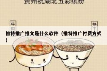 推特推广推文是什么软件（推特推广付费方式）