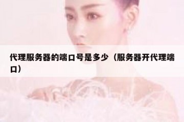 代理服务器的端口号是多少（服务器开代理端口）