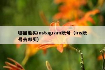 哪里能买instagram账号（ins账号去哪买）