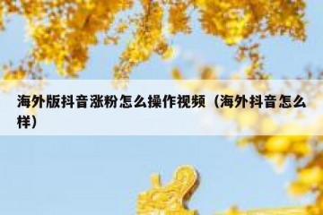 海外版抖音涨粉怎么操作视频（海外抖音怎么样）
