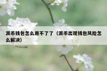 派币钱包怎么用不了了（派币出现钱包风险怎么解决）