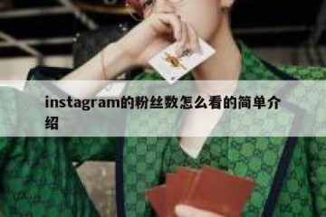 instagram的粉丝数怎么看的简单介绍