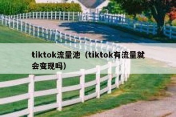 tiktok流量池（tiktok有流量就会变现吗）
