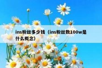ins粉丝多少钱（ins粉丝数100w是什么概念）