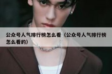 公众号人气排行榜怎么看（公众号人气排行榜怎么看的）