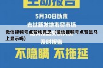 微信视频号点赞啥意思（微信视频号点赞是马上显示吗）