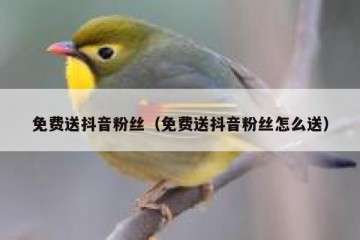 免费送抖音粉丝（免费送抖音粉丝怎么送）