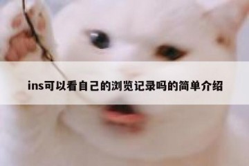 ins可以看自己的浏览记录吗的简单介绍
