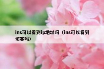 ins可以看到ip地址吗（ins可以看到访客吗）