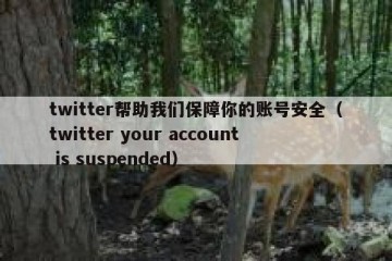 twitter帮助我们保障你的账号安全（twitter your account is suspended）