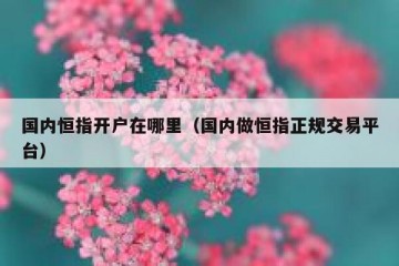 国内恒指开户在哪里（国内做恒指正规交易平台）