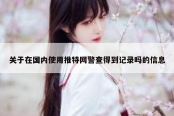 关于在国内使用推特网警查得到记录吗的信息