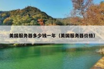 美国服务器多少钱一年（美国服务器价格）