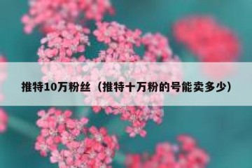 推特10万粉丝（推特十万粉的号能卖多少）