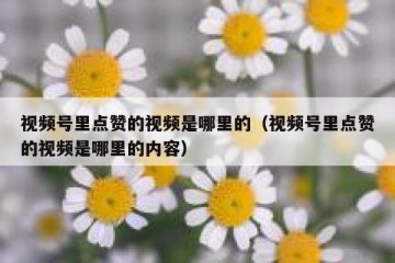 视频号里点赞的视频是哪里的（视频号里点赞的视频是哪里的内容）