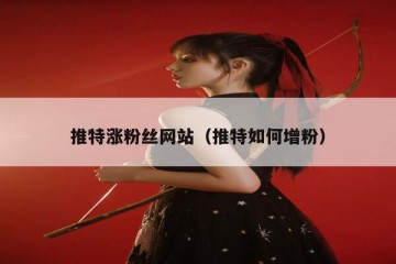 推特涨粉丝网站（推特如何增粉）