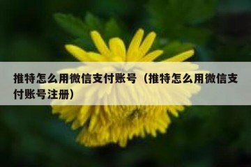 推特怎么用微信支付账号（推特怎么用微信支付账号注册）