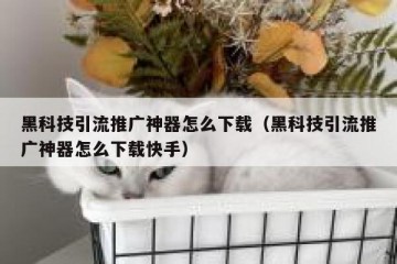 黑科技引流推广神器怎么下载（黑科技引流推广神器怎么下载快手）