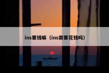 ins要钱嘛（ins需要花钱吗）