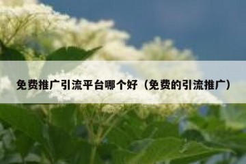 免费推广引流平台哪个好（免费的引流推广）