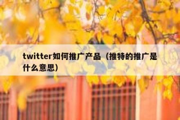 twitter如何推广产品（推特的推广是什么意思）