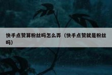 快手点赞算粉丝吗怎么弄（快手点赞就是粉丝吗）