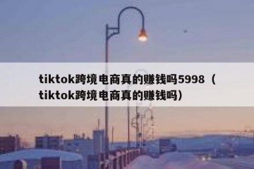 tiktok跨境电商真的赚钱吗5998（tiktok跨境电商真的赚钱吗）