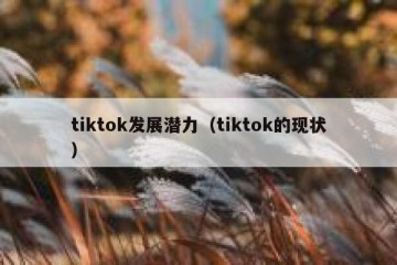 tiktok发展潜力（tiktok的现状）