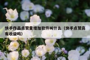 快手作品点赞量增加软件叫什么（快手点赞高有收益吗）