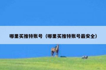 哪里买推特账号（哪里买推特账号最安全）