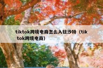tiktok跨境电商怎么入驻沙特（tik tok跨境电商）