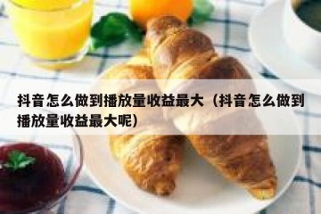 抖音怎么做到播放量收益最大（抖音怎么做到播放量收益最大呢）
