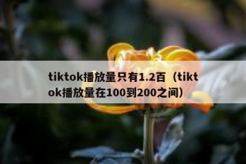 tiktok播放量只有1.2百（tiktok播放量在100到200之间）