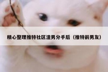 精心整理推特社区渣男分手后（推特前男友）