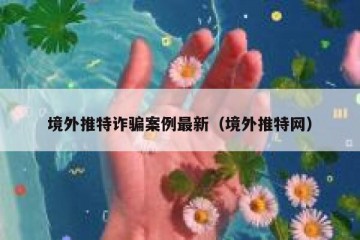 境外推特诈骗案例最新（境外推特网）
