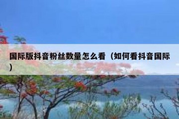 国际版抖音粉丝数量怎么看（如何看抖音国际）