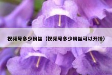 视频号多少粉丝（视频号多少粉丝可以开播）