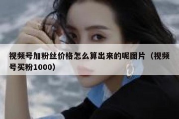 视频号加粉丝价格怎么算出来的呢图片（视频号买粉1000）