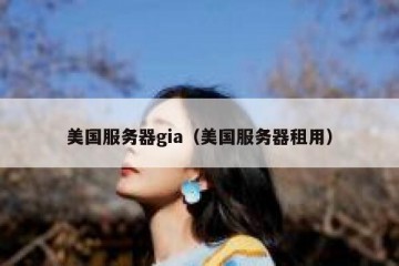 美国服务器gia（美国服务器租用）